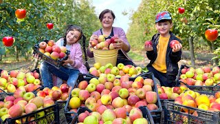 130 kg Apple & Quince Harvest: Grandma's Secret Jam and Compote Recipe. Keep 1 Year