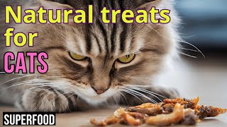 Purrfect Natural SNACKS for Your Feline Friends! HEALTHY & HAPPY