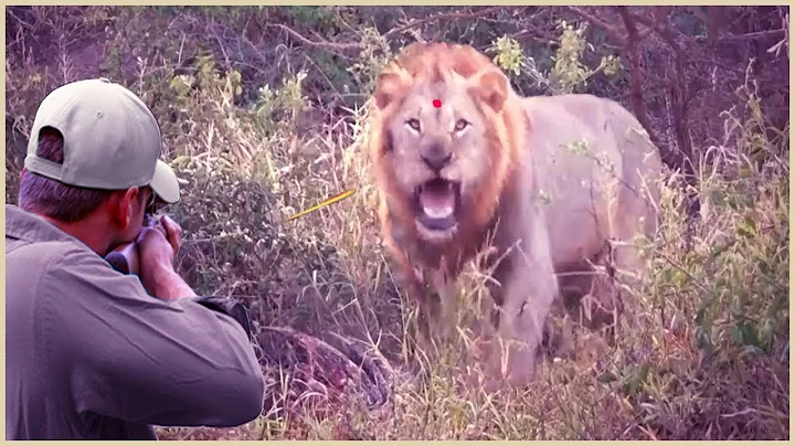 Amazing How Do American Hunters And Farmers Deal With Million Of Wild Boar And Lion By Guns