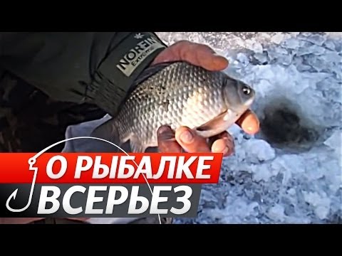 Зимняя Ловля Карася. "О Рыбалке Всерьез" видео 125.