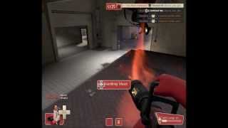 fluttershy respects herself in tf2