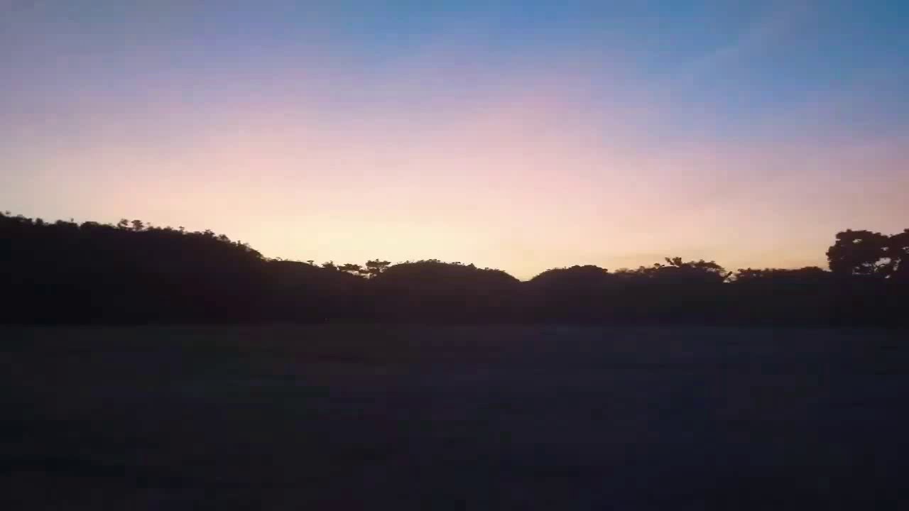 Jovens da aldeia Kapot ataca marimbondo.(Mebengokre kayapo) 03/2020