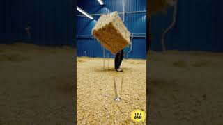 Chuck Norris A Trouvé Une Botte De Foin.