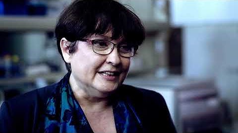 HCEMM-SU Extracellular Vesicles Research Group - Edit Buzás MD, PhD, DSc