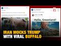 Iran Trolls Donald Trump With Viral Buffalo Meme Amid Escalating US Israel Tensions