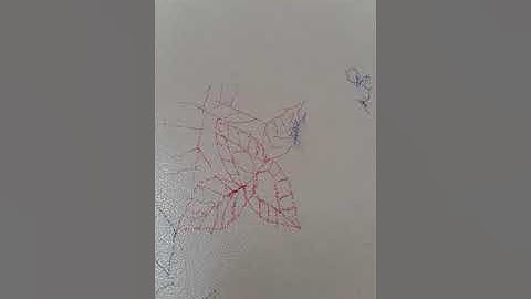 تلاوة حزينة بصوت الطالب احمد سعيد من سورة عبس (24_42)