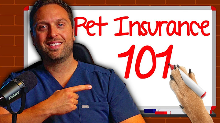 Pet insurance for older dogs reviews