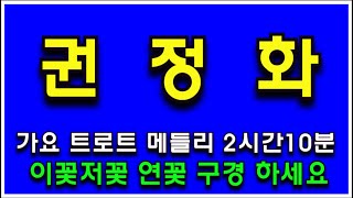 293. 권정화 트롯 가요 2시간 메들리 연꽃 이것저것 구경 하세요 (전곡 노래제목 제공) 인기곡모음 가요 메들리 즐감 하세요 화물운송콜센터