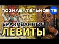 Бракованные левиты (Познавательное ТВ, Валентин Катасонов)