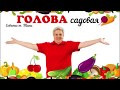 Голова садовая - ВАЖНО! Правильный посев томатов