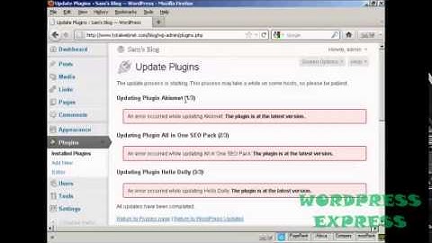 WordPress Tutorial 9: How to Upgrade or Delete Plugins Automatically