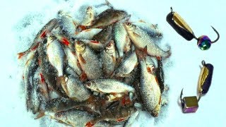 Рыба БЕЗ УМА от этих МОРМЫШЕК! Гвозде-КУБИК и "ДИСКО ШАР" решают! Первая удачная рыбалка 2018!