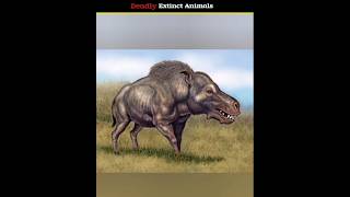 Next Part - Extinct Animals 😱