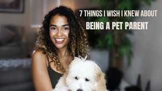 7 Things I Wish I Knew Before Getting A Cavachon Puppy