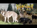 The Snowberry Pack's First Hunts🐺❄️Wolf Quest: Rising Hope #24 (Snowberry Pack)