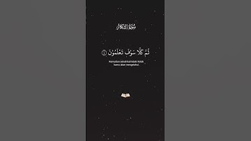 #قرآن_کریم سوره مبارکه التکاثر
