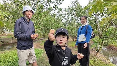 Bộ 3 Bá Đạo Rủ Nhau Đi Khám Phá Vườn Trái Cây Quê Nhà Và Cái Kết. || Ut Mini. 