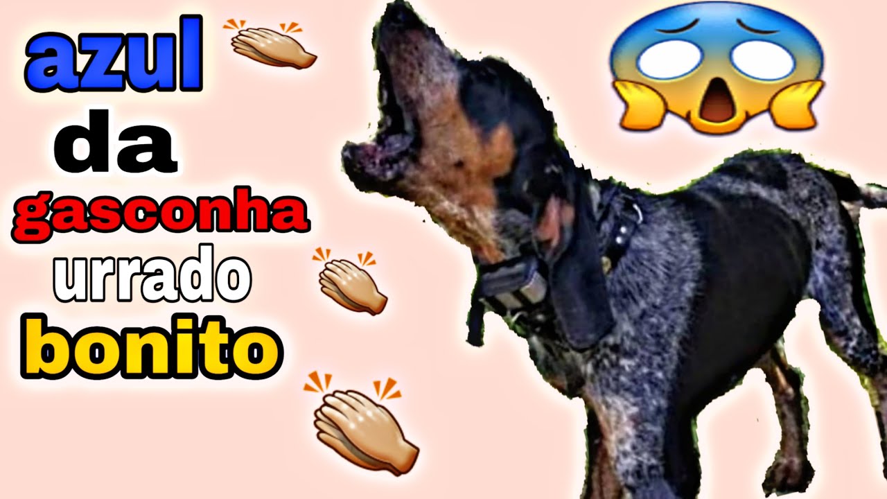 A Cobrinha Azul → Eu Sou um Cão Pastor (Anos 70) ☆ Sessão Nostálgia 