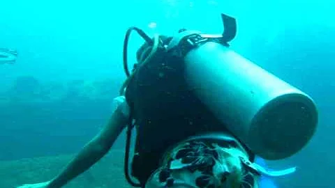 diving dennis(antilla)