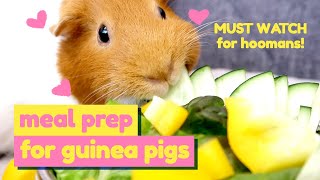 Safe Vegetables for Guinea Pigs | Meal Plan : Episode 1 | GuineaDad