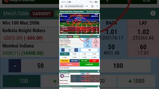 Cricket Trading Wallet Management Tips for Beginners Reddybook.live Withdrawal Time Proces Explaine