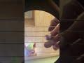 言って。/ヨルシカ