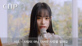 시소(Siso) - 사랑이 아닌 단어로 사랑을 말해요