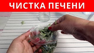 Как ОЧИСТИТЬ ПЕЧЕНЬ в домашних условиях - БЫСТРО и ЭФФЕКТИВНО