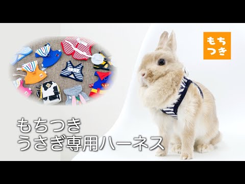 うさぎさん専用ページ メルちゃん うさぎさんパーカー | おもちゃ通販のトイザらス