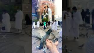 رب استجيب لدعايا  المنشد احمد حسن - اسمعها