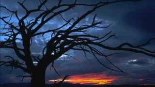 Version 1 of the video
