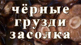 видео: Чёрные грузди засолка. картинка: Чёрные грузди засолка.