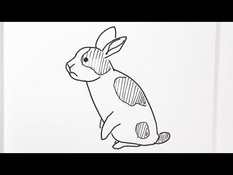 簡単 ライオンの描き方 イラスト お絵描き Easy How To Draw A Lion Illustration Drawing Youtube