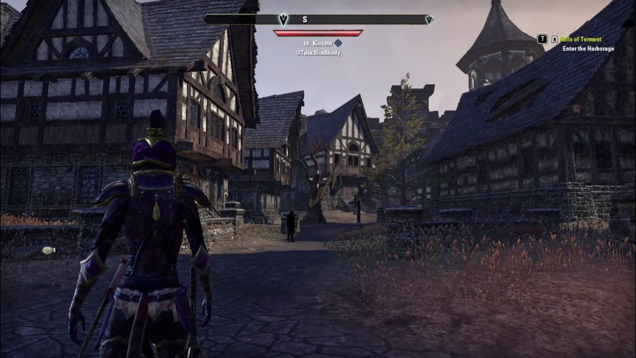 MMORPG Basics Using LOTRO and ESO