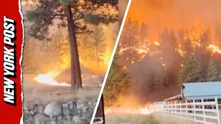 Insane Eyewitness Footage Captures Devastating Wildfires Ravaging Canadian Landscapes