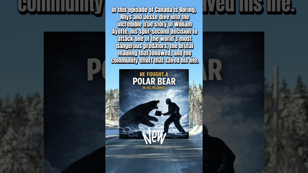 man vs polar bear #podcast #canada
