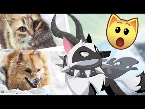 I FOUND THE BEST MASTERPIECES ON ANIMAL JAM
