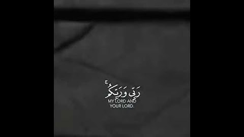 {إني توكلت على الله ربى وربكم}                                  القارئ: رعد الكردي
