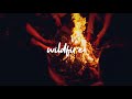 Jeremy Zucker Wildfire Lyrics