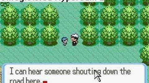 Basic Pokemon Script