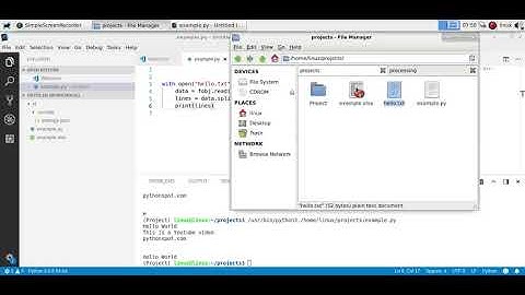 Python Read File Line by Line