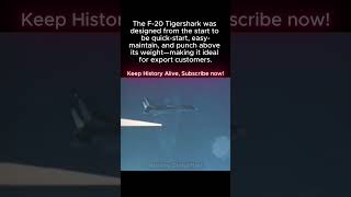 F-20 Tigershark: Quick Start. Easy To Maintain. PUNCHED Above Its Weight. Built For Export.