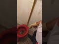 Capturando a cobra no vaso sanitário