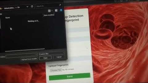 Python-Based Fingerprint Blood Group Detection System