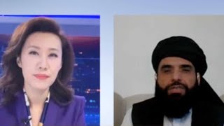 Formation of interim government ends political vacuum: Taliban spokesperson