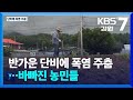 반가운 단비에 폭염 주춤…바빠진 농민들 / KBS  2025.07.14.