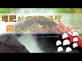 【#50】堆肥化，微生物による分解の話，そして緑肥などの土ごと発酵まで！