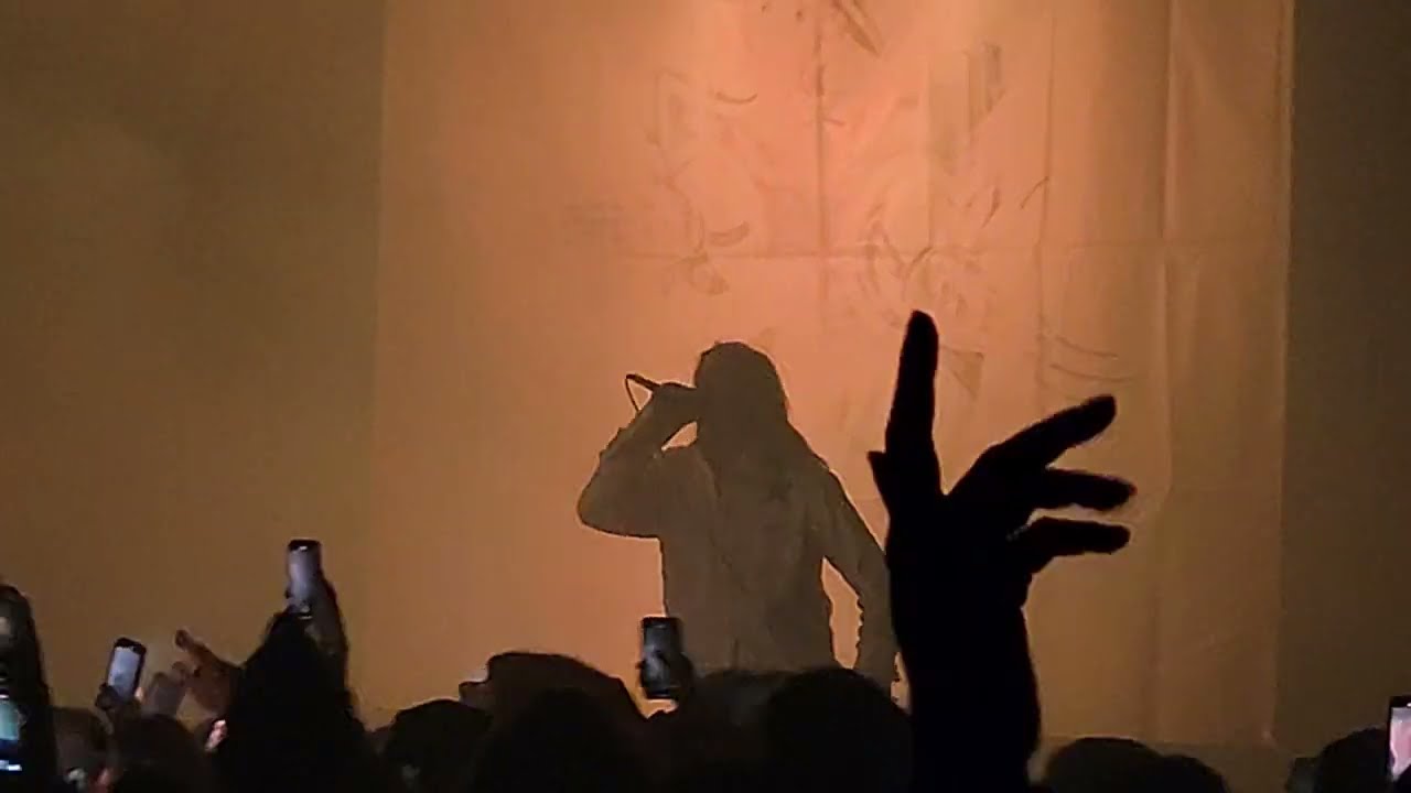 Puzzle - Loose Cannon [live @ SOMA San Diego]