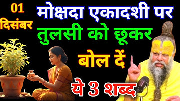 01 दिसंबर मोक्षदा एकादशी पर तुलसी को छूकर चुपचाप बोल देना 2 शब्द रातों रात बनोगे करोड़पति