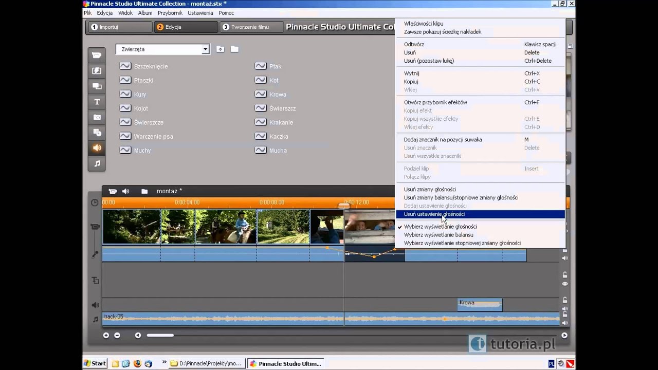 pinnacle studio 9 codecs